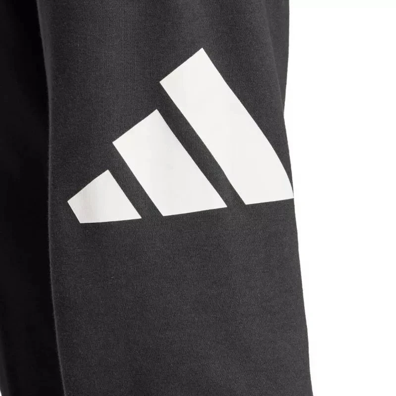 Kelnės Adidas Essentials Big Logo French Terry M IN6163