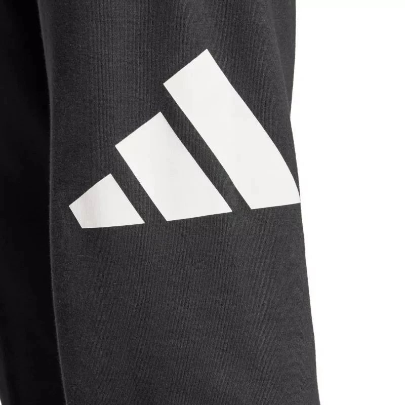 Kelnės Adidas Essentials Big Logo French Terry M IN6163
