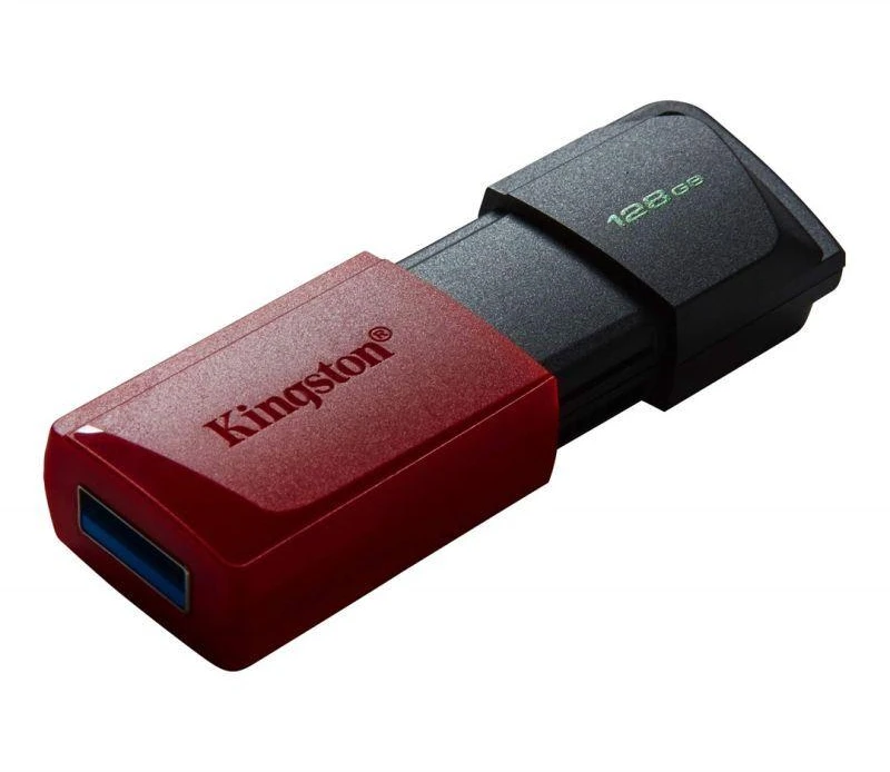 Ausinės KINGSTON Exodia 128GB USB3.2 raudonas