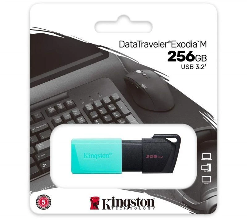 Ausinės KINGSTON Exodia 256GB USB3.2 mėtinės spalvos