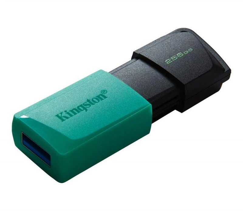 Ausinės KINGSTON Exodia 256GB USB3.2 mėtinės spalvos