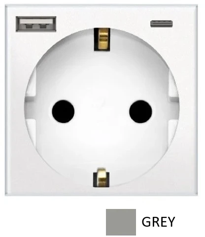 Kištukinis lizdas su USB+type C, pilkas