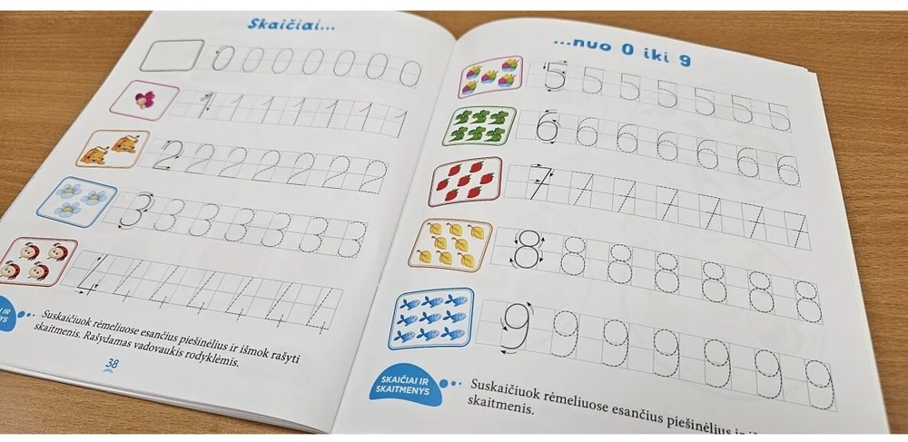 KNYGA Būsiu pirmokas. Rankų įgūdžių lavinimas, mąstymo skatinimas, pažintis su raidėmis ir skaičiais 5-6 metų vaikams.