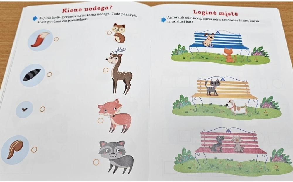 KNYGA Loginio mąstymo ugdymas, rankų motorikos lavinimas, pažintis su skaičiais ir raidėmis. 4-5 metų vaikams.