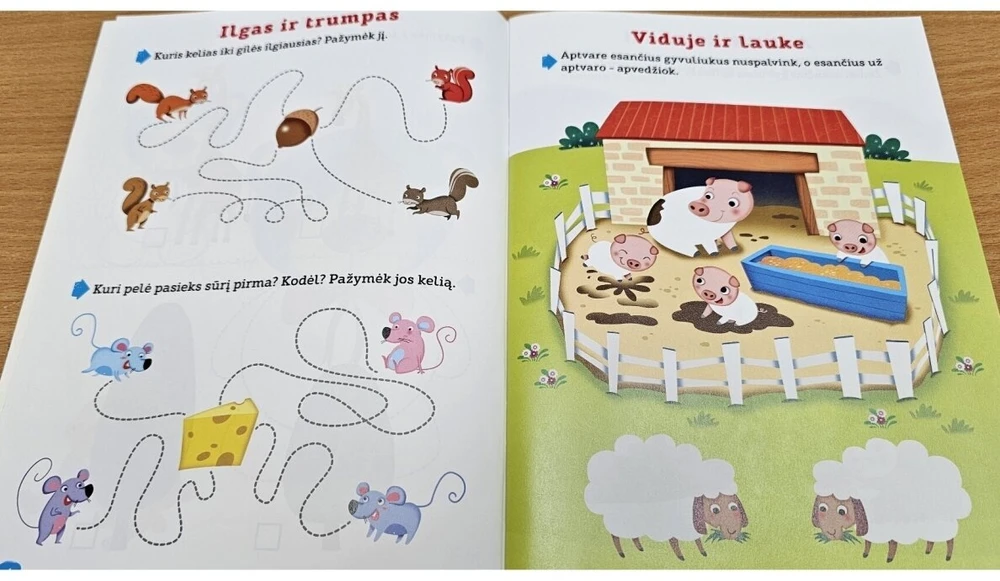 KNYGA Loginio mąstymo ugdymas, rankų motorikos lavinimas, pažintis su skaičiais ir raidėmis. 4-5 metų vaikams.