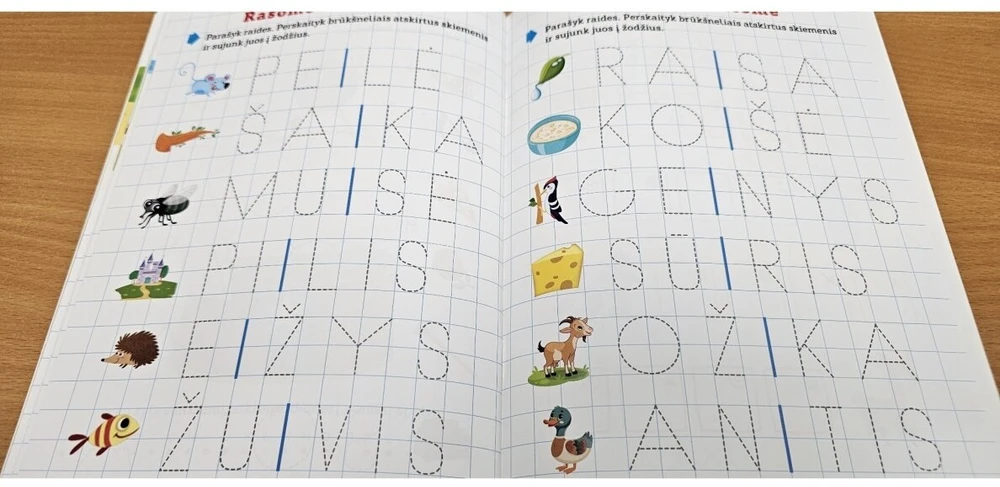KNYGA Rašymo įgūdžių tobulinimas, susipažinimas su raidėmis. 4-5 metų vaikams.