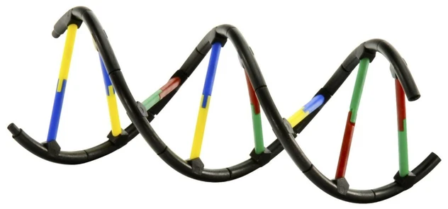 KOSMOS STEM eksperimentinis rinkinys GENETIKA IR DNR 2.0