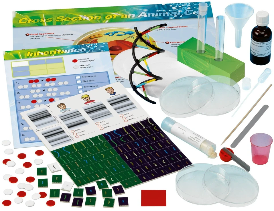 KOSMOS STEM eksperimentinis rinkinys GENETIKA IR DNR 2.0