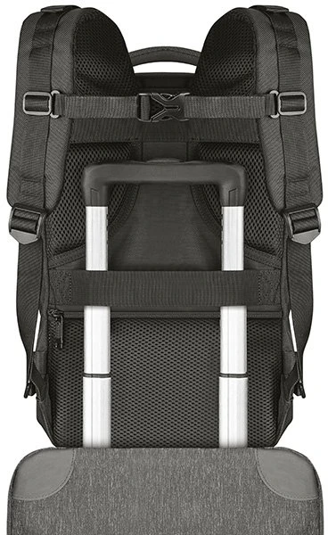 Tracer Squard 14"