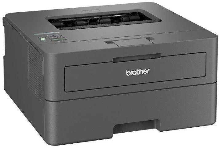Lazerinis spausdintuvas BROTHER HL-L2442DW