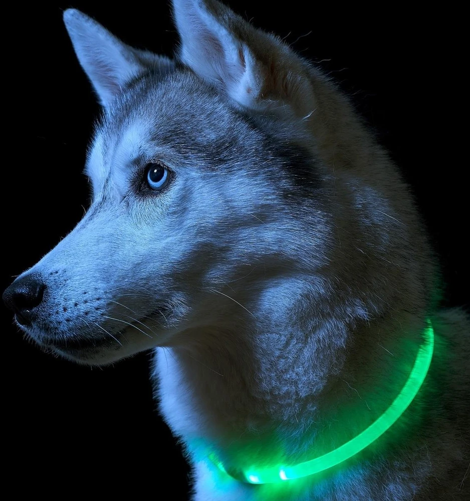 ATL LED šviečiantis antkaklis (Žalia)