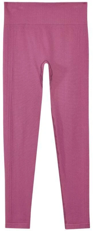 Leggings 4F W 4FWAW24TFTIF278 53S