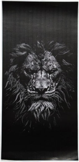 Lipdukas ant Automobilio Statramsčio Lion ( B-Pillar Sticker )