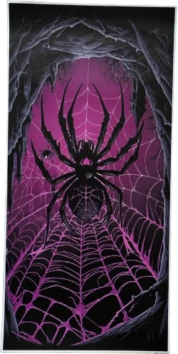 Lipdukas ant Automobilio Statramsčio Spider ( B-Pillar Sticker )
