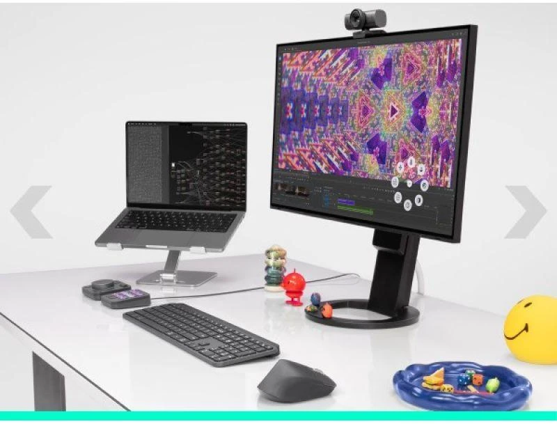 Pelė Logitech MX Master 4 verslui - Graphite