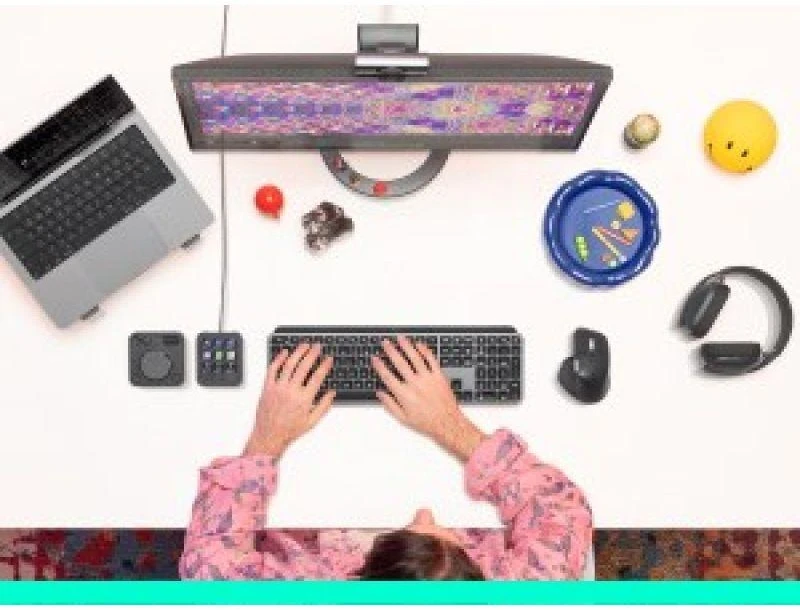 Pelė Logitech MX Master 4 verslui - Graphite