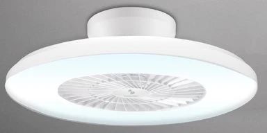 Lubų ventiliatorius su pritemdomu LED apšvietimu Beper P206VEN650, 40 W, 60 cm