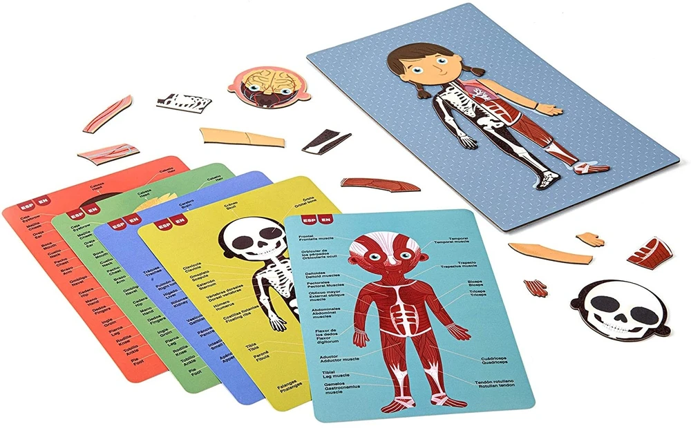 Apli Kids Magnetinis žaidimas-dėlionė „Žmogaus kūnas”
