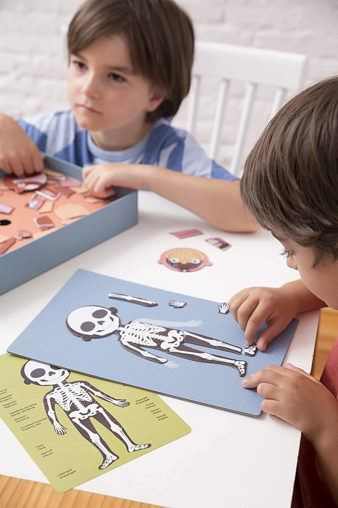 Apli Kids Magnetinis žaidimas-dėlionė „Žmogaus kūnas”
