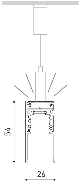 Magnetinių sistemų pakabinamas bėgelis TRACK 48V, 2802mm, juodas, su 39,2W LED šviestuvu, DALI