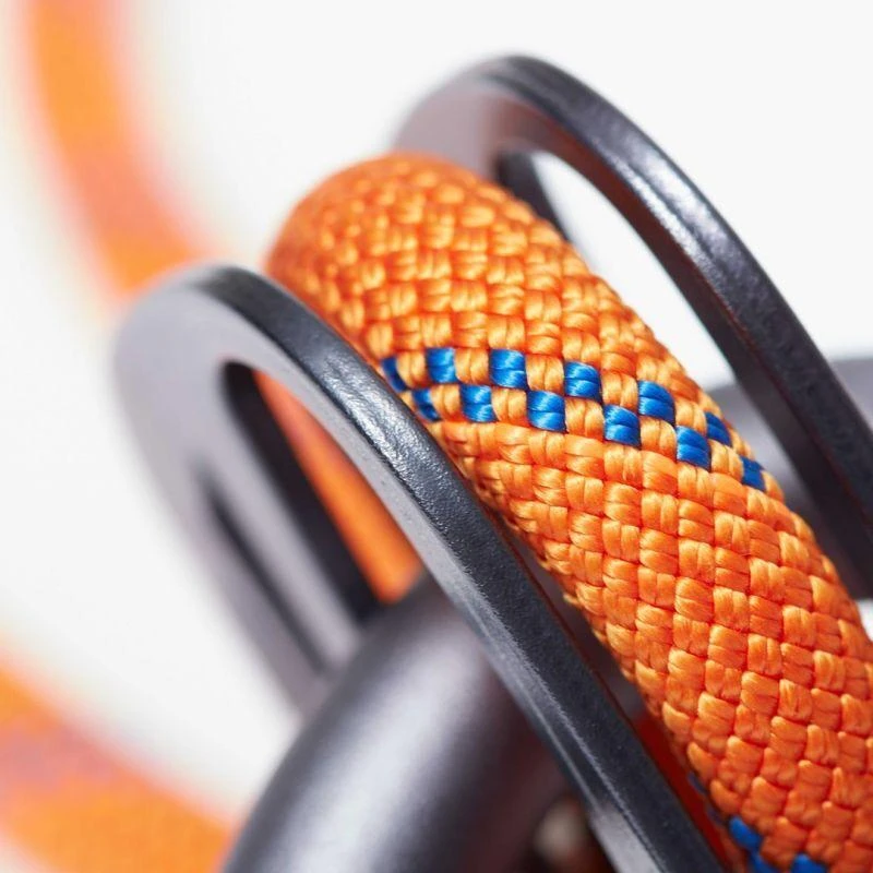 Sieninis šviestuvas Carruzzo Mammut Smart 2.0 Aliuminis, Plienas