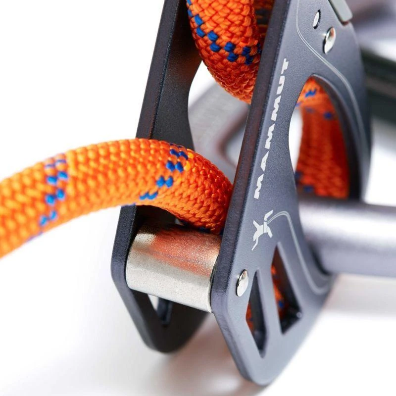 Sieninis šviestuvas Carruzzo Mammut Smart 2.0 Aliuminis, Plienas