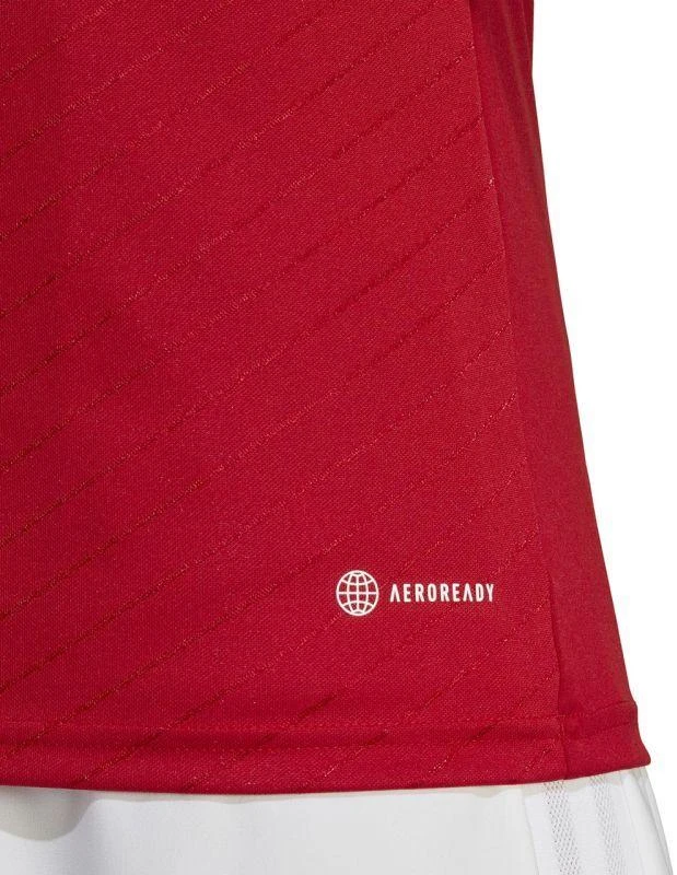 Marškinėliai Adidas Campeon 23 M HR2622