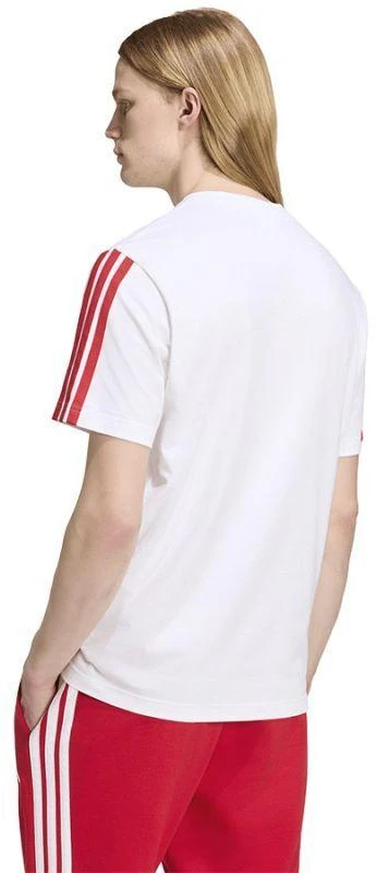 Marškinėliai adidas FC Bayern DNA Tee KG2592