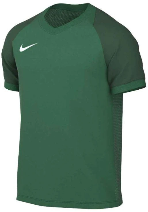 Marškinėliai Nike Dri-FIT Trophy VI HV8151-302