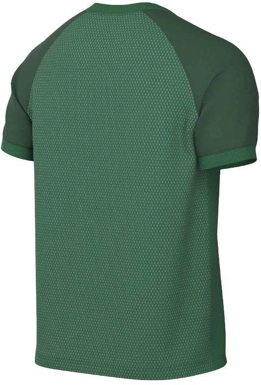 Marškinėliai Nike Dri-FIT Trophy VI HV8151-302