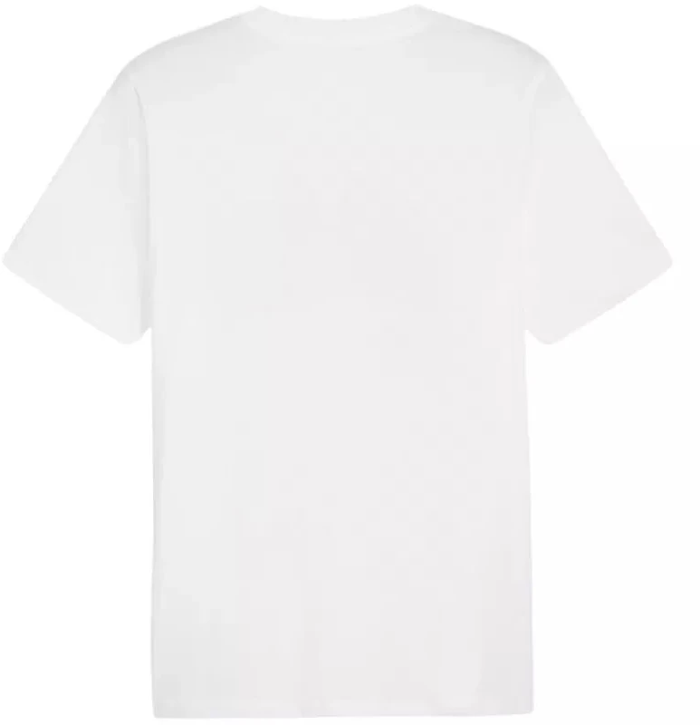 Marškinėliai Puma Graphics Summer Sports Tee II M 627909 02