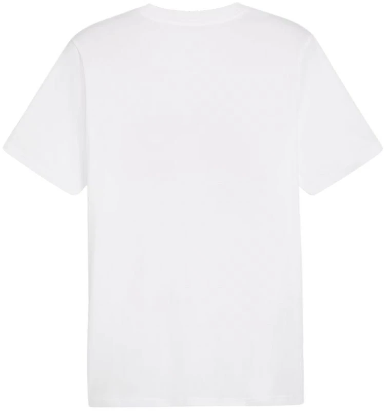 Marškinėliai Puma Graphics Summer Sports Tee II M 627909 02