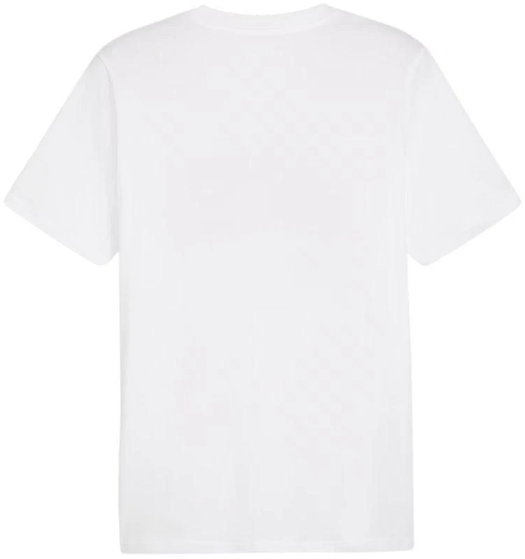 Marškinėliai Puma Graphics Summer Sports Tee II M 627909 02