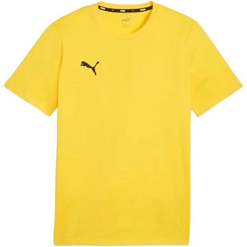 Marškinėliai Puma Team Goal Casuals Tee M 658615 07