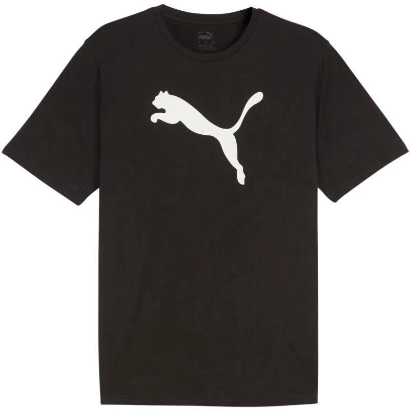 Marškinėliai Puma Team Rise Logo Cotton M 658705 03