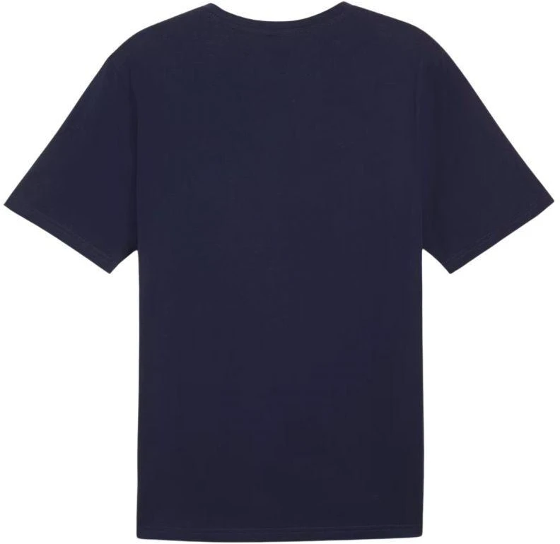 Marškinėliai Puma Team Rise Logo Jersey Cotton M 658705 06