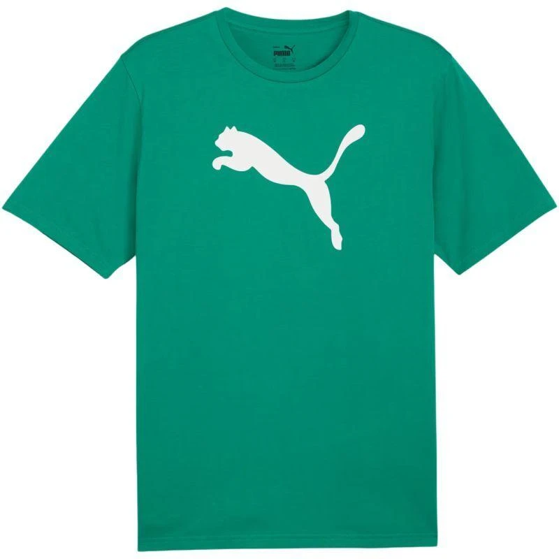 Marškinėliai Puma Team Rise Logo Jersey Cotton M 658705 05