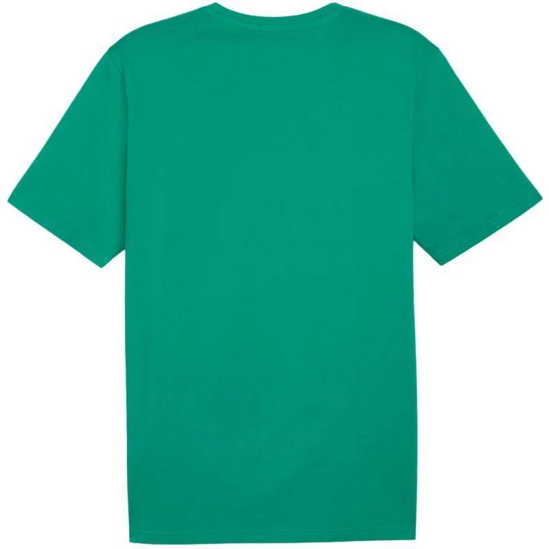 Marškinėliai Puma Team Rise Logo Jersey Cotton M 658705 05