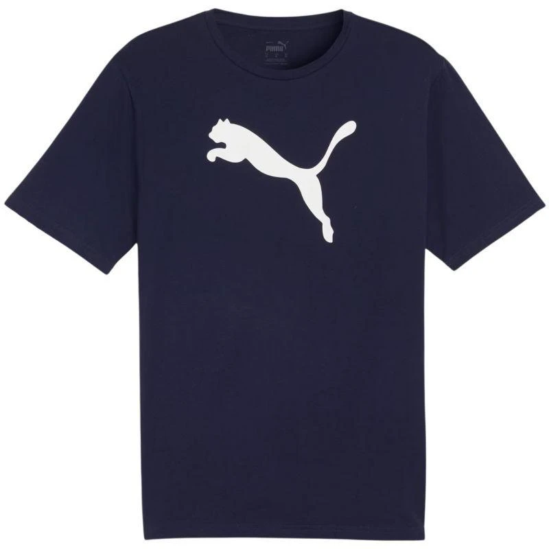 Marškinėliai Puma Team Rise Logo Jersey Cotton M 658705 06