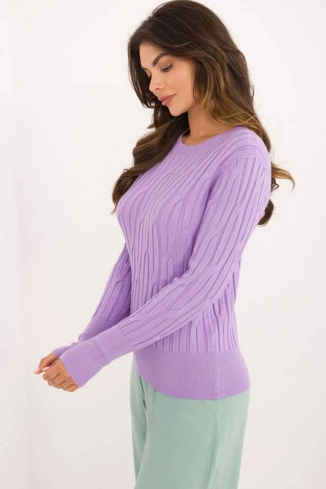 Melsvai violetinis megztinis