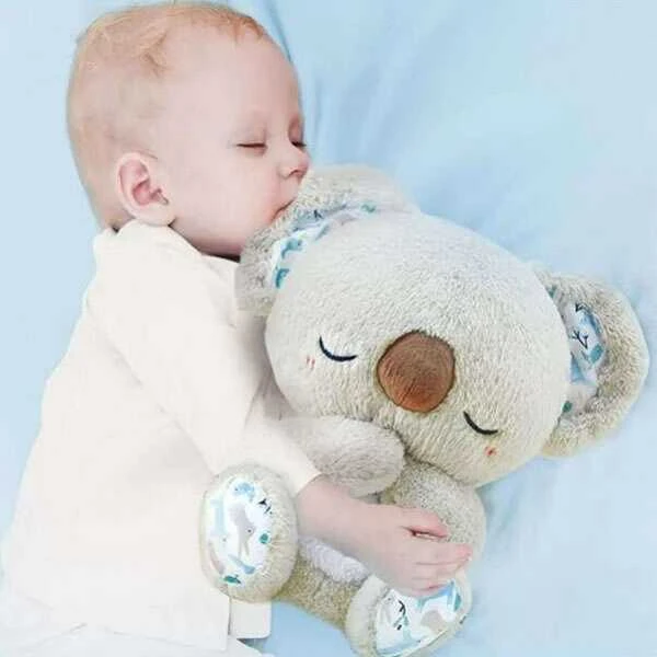 Migdukas Dreamy Koala