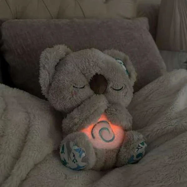 Migdukas Dreamy Koala