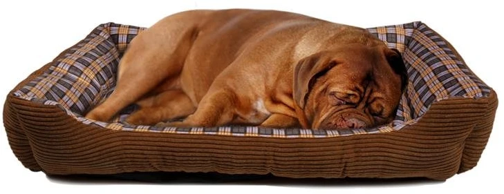 Other Brand Minkšta šuns sofa XL, ruda, 90 × 70 × 20 cm