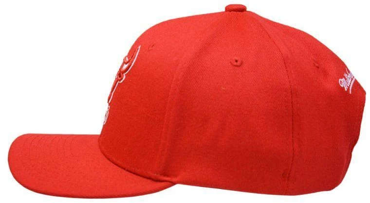 Mitchell & Ness NBA Čikagos Bulls komandos „Team Ground 2.0“ snapback tipo kepuraitė - HHSS3260-CBUYYPPPRED1