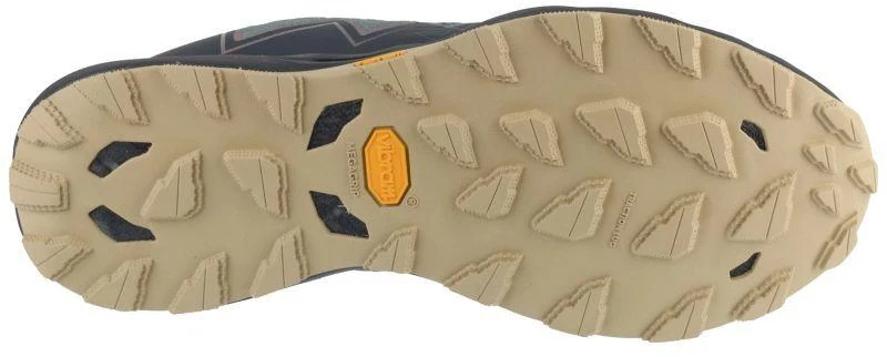 Mizuno Wave Daichi 9 GTX J1GJ255611 pilki 42 dydžio