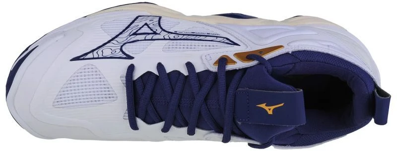 Mizuno Wave Momentum 3 M V1GA231243 batai