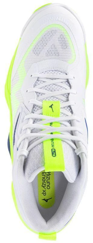 Mizuno WAVE MOMENTUM ELITE MID V1GA251739 batai