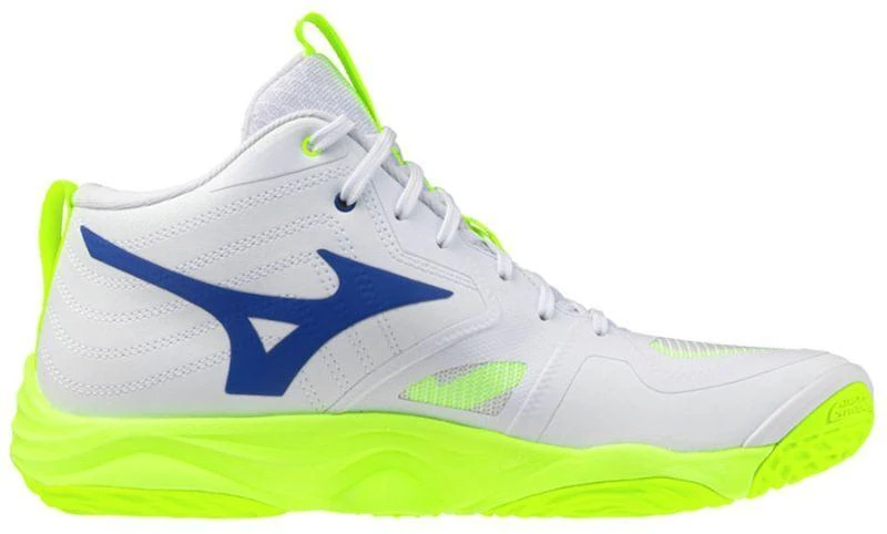 Mizuno WAVE MOMENTUM ELITE MID V1GA251739 batai
