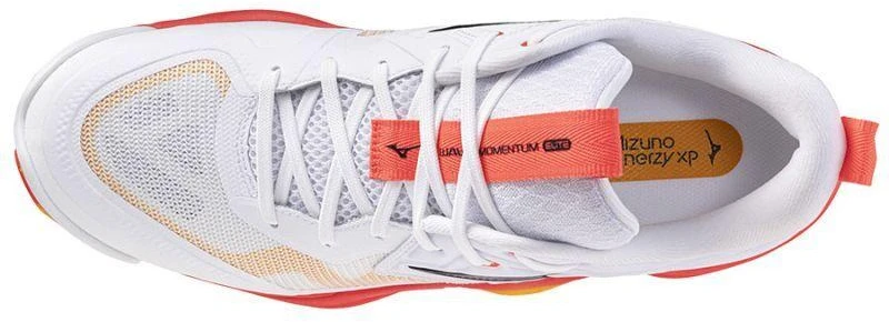 Mizuno WAVE MOMENTUM ELITE V1GA251201 batai