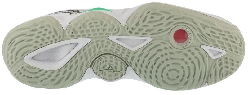Mizuno Wave Momentum Elite V1GA251221 Balta 41